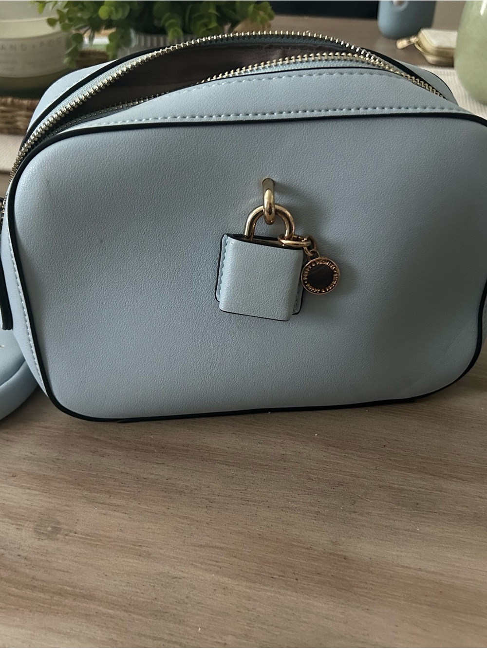 Poppy & Peonies Light Blue Crossbody Bag or Belt Bag with change purse